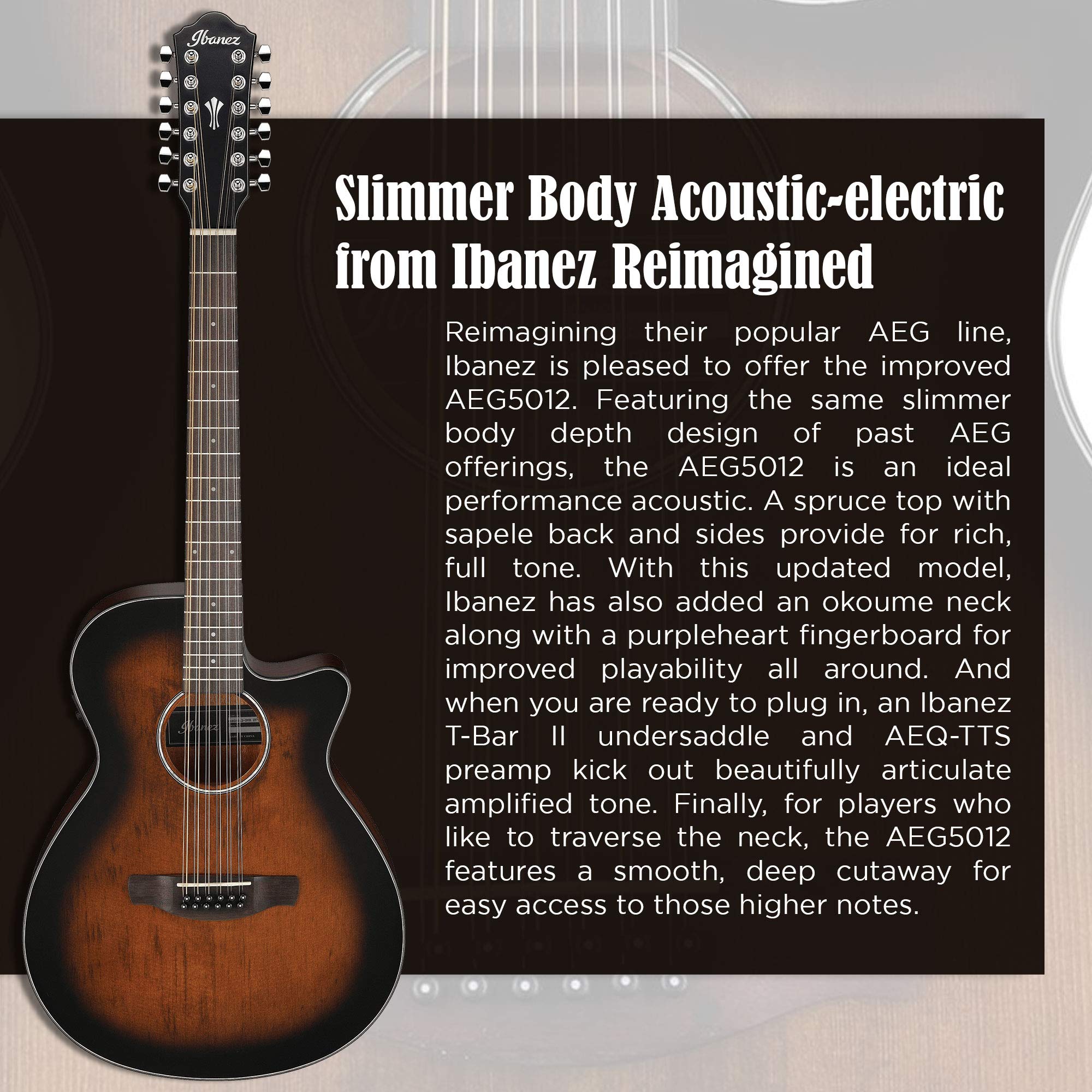 Ibanez Single Cutaway 12 String Acoustic Electric Sunburst