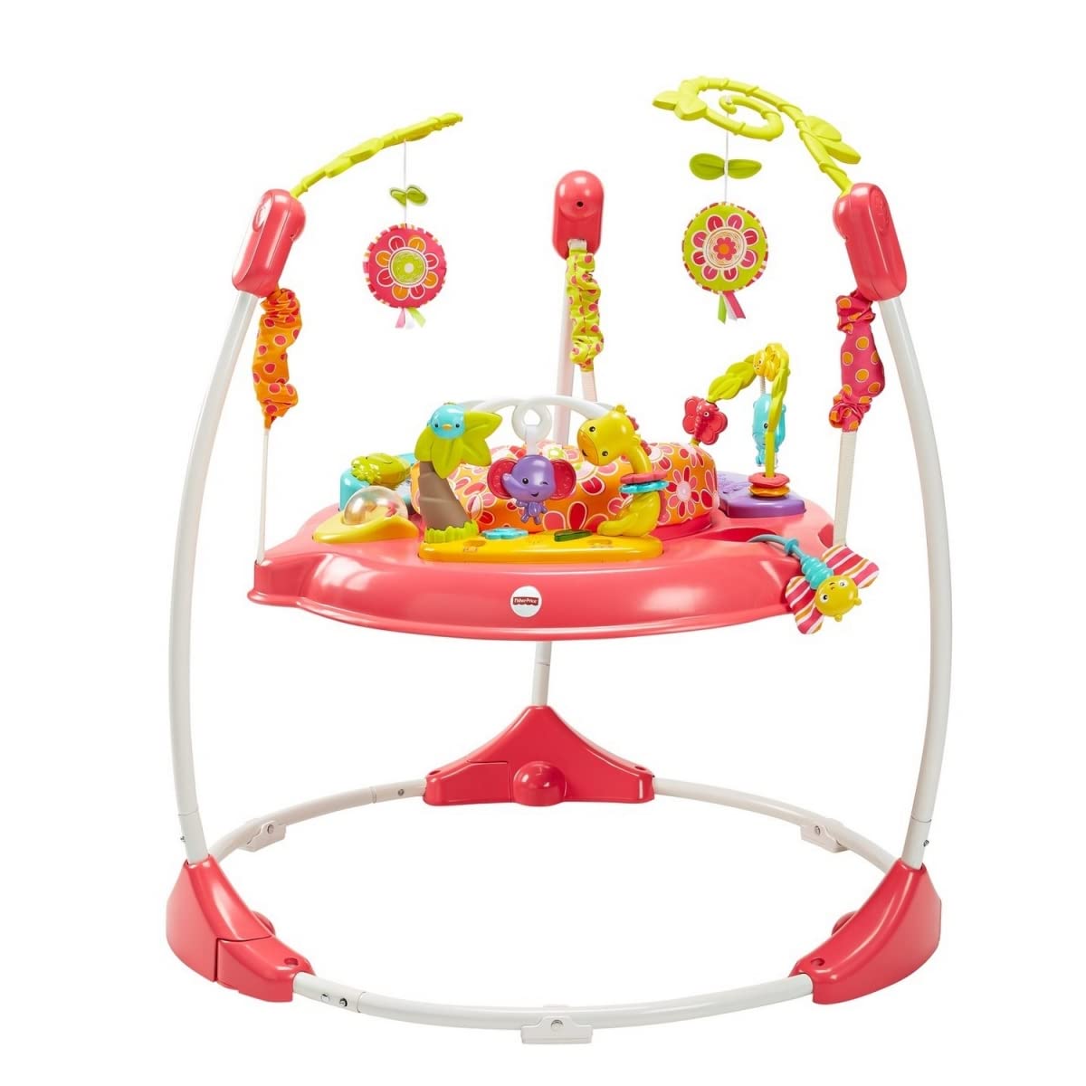 Fisher Price DJC81 Pink Petals Jumperoo