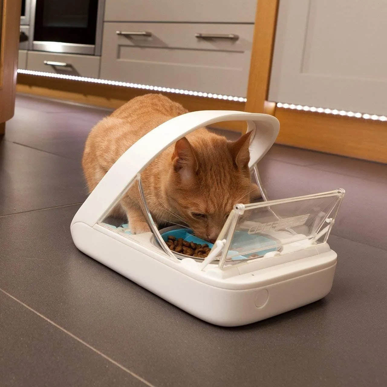 SureFeed Automatic Microchip Pet Feeder for Cats �C Dual Wet & Dry Food Compartments, Lightweight Design, Includes Pet Towel