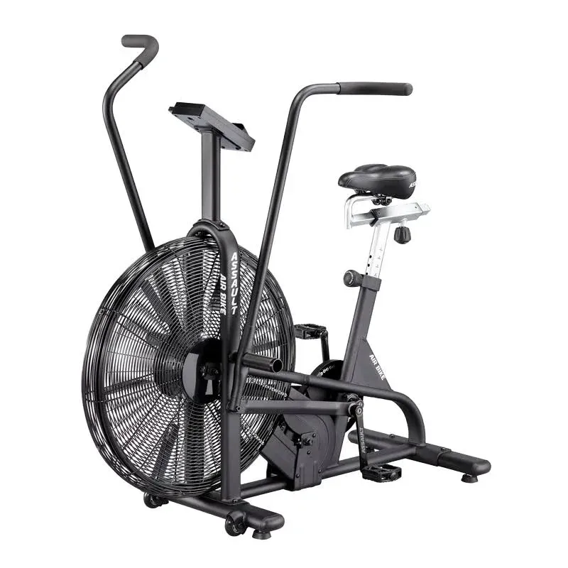 Lifecore Fitness Assault Air Bike Trainer sgtnighsdesigns