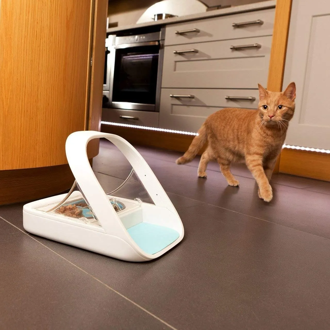 SureFeed Automatic Microchip Pet Feeder for Cats �C Dual Wet & Dry Food Compartments, Lightweight Design, Includes Pet Towel