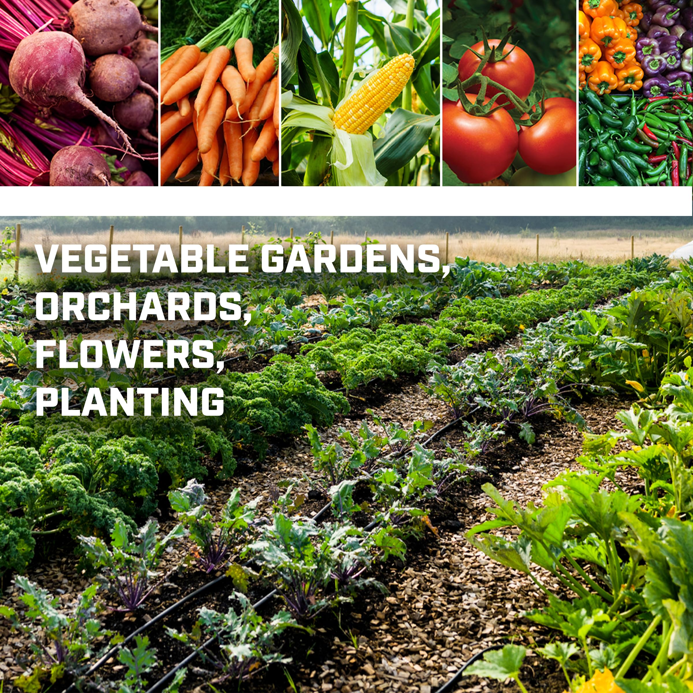 Chapin 8701B Garden Varieties Package