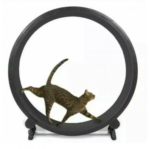 One Fast Cat Exercise Wheel �C Black �C New In Box