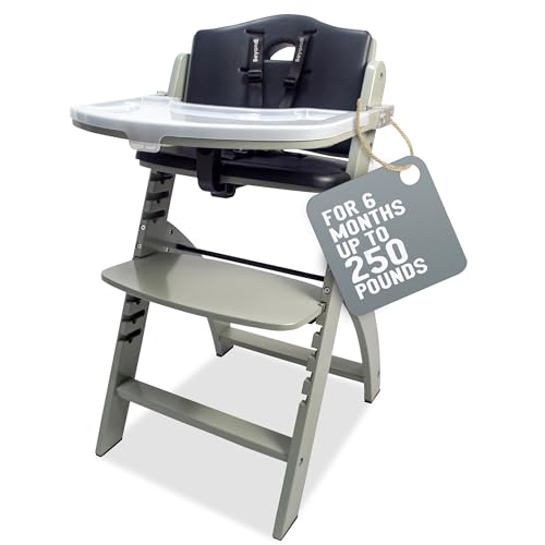 Abiie Adjustable Highchair Solution Toddlers