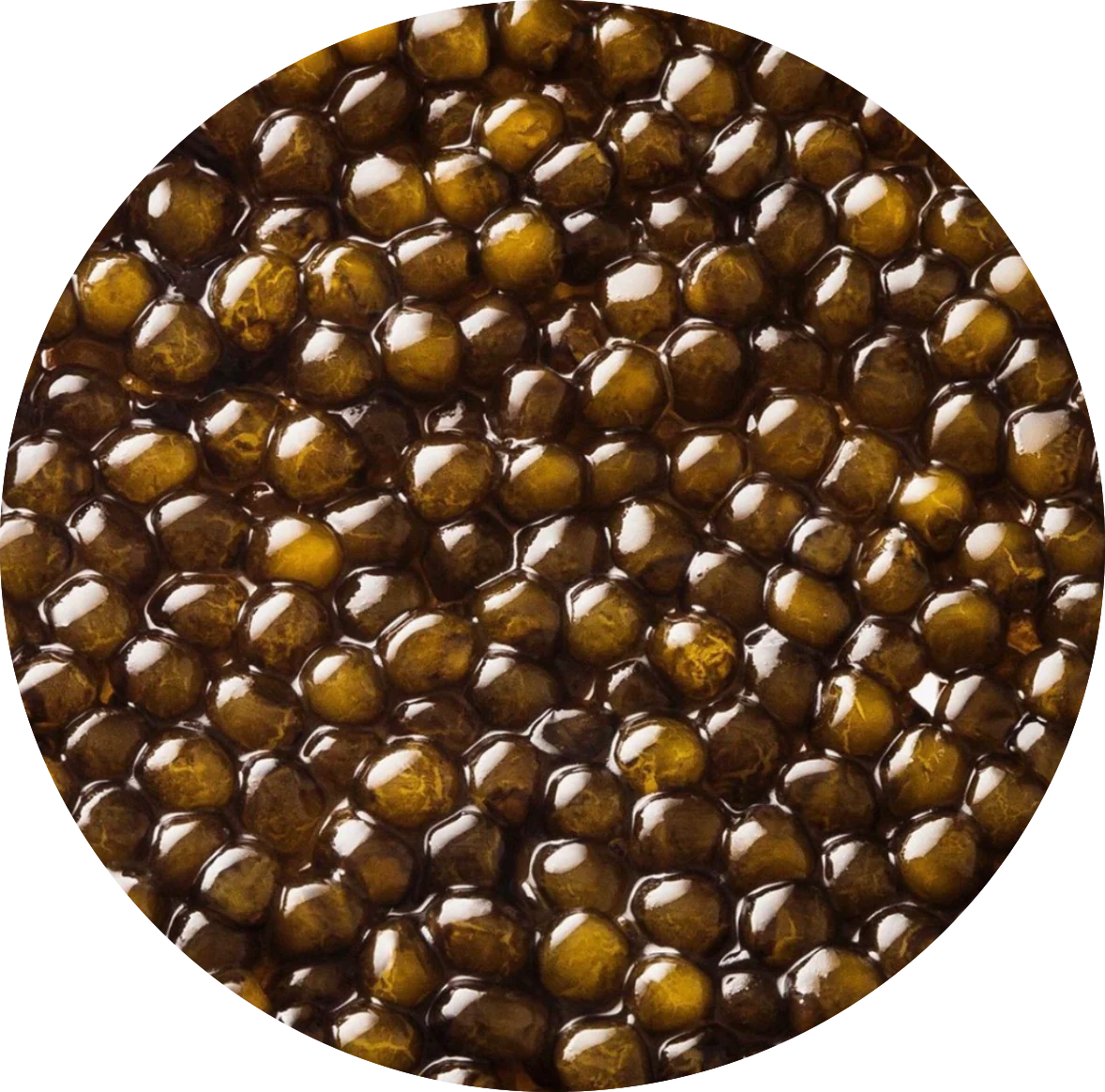 Imperial Osetra Caviar