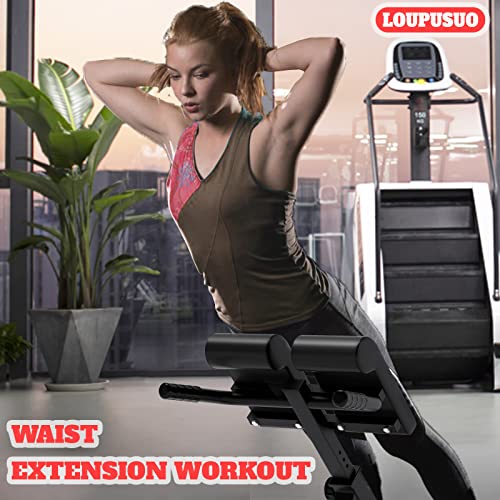 Loupusuo Roman Chair, Back Extension Bench, Multi Functional Ab Bench, Leg Strength Trainer